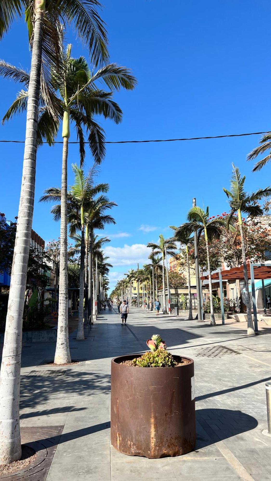 Mirame Canarias Vecindario  Exterior photo